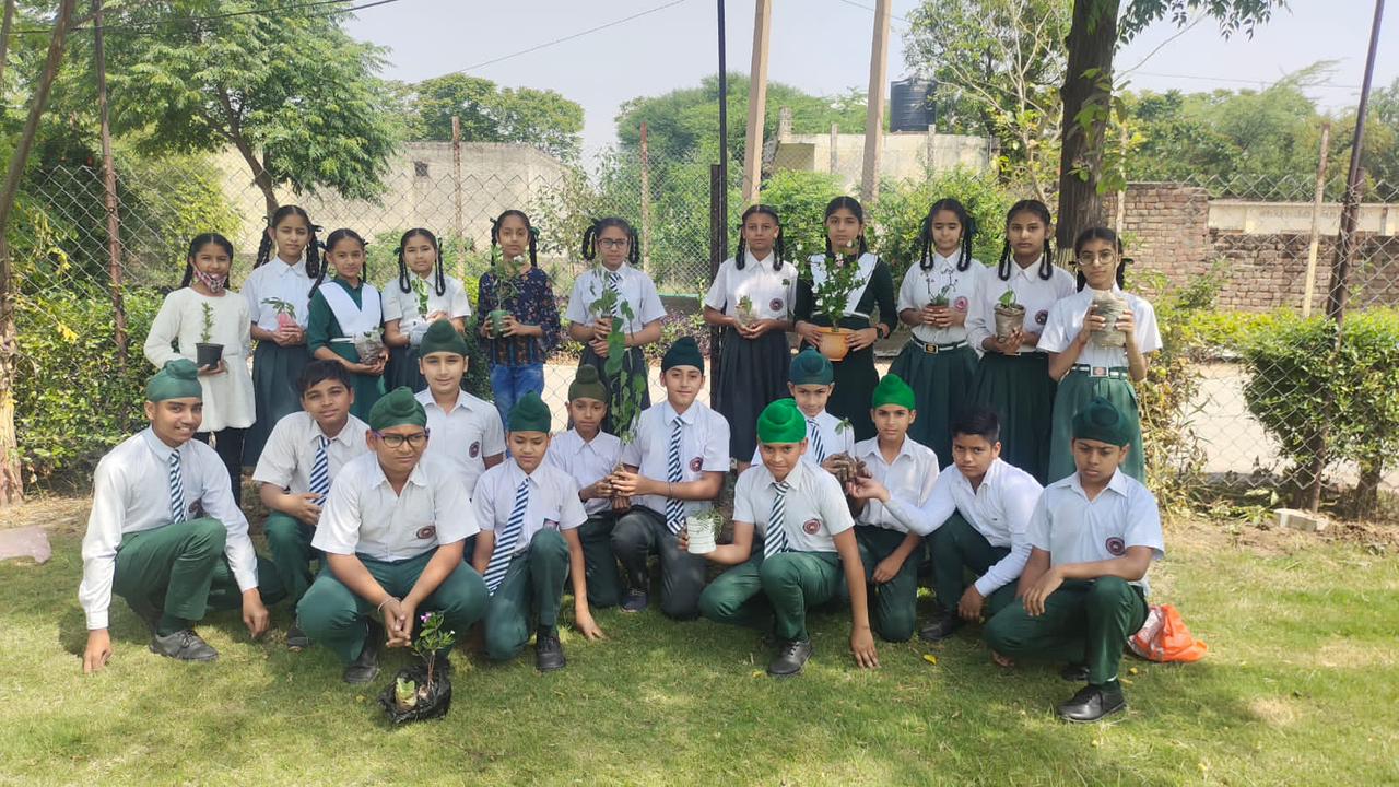 best school in rajpura