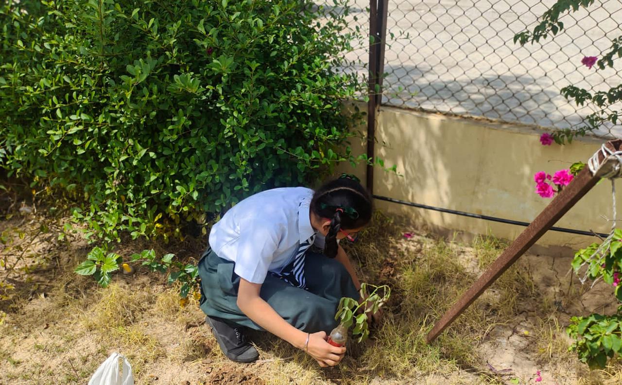 best school in rajpura